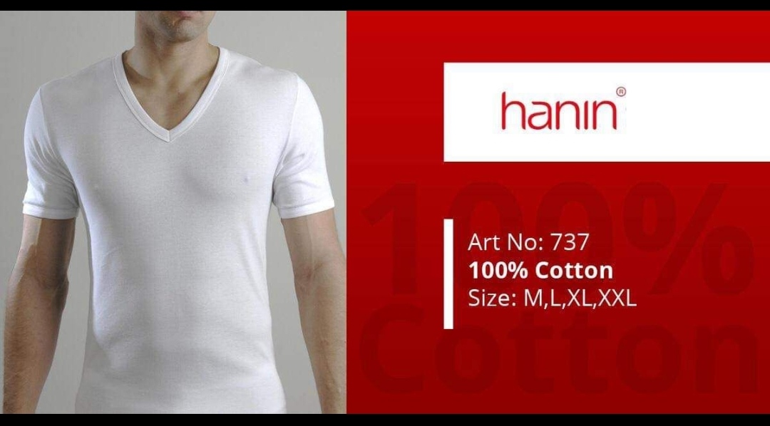 T-Shirt V neck Hanin brand